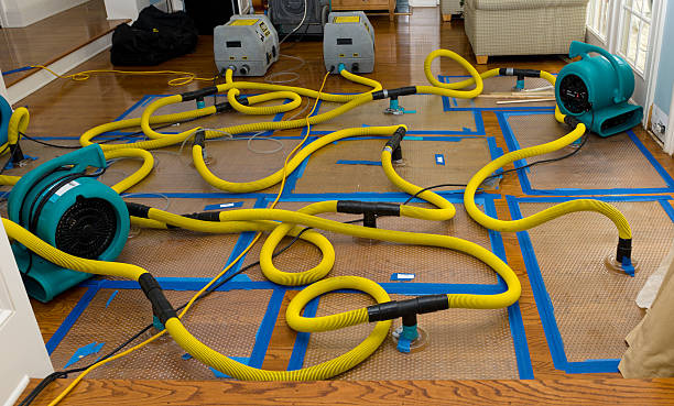 Professional Structural Drying And Dehumidification technician working in Washington, IL